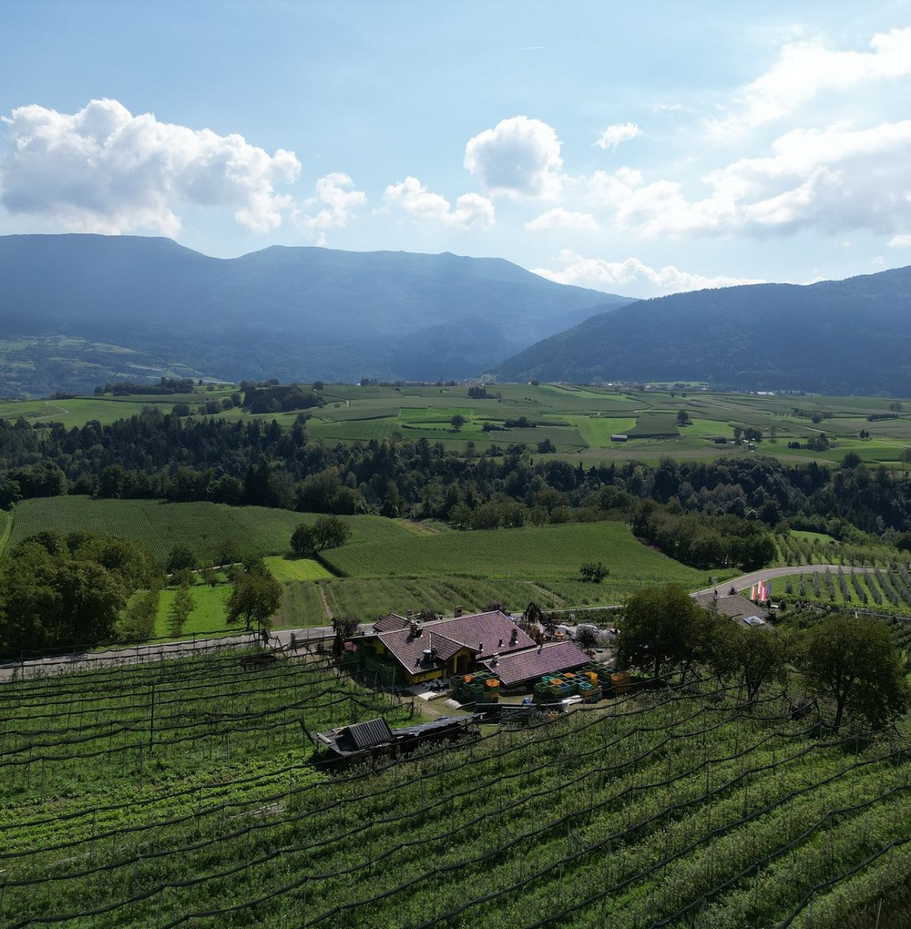 Azienda Agricola Maso Paradiso di Pederzolli Diego | Agritur Maso alle Rose a Cavrasto di Bleggio Superiore, circondato dal verde e dalla natura, in Trentino